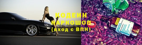 прущий лед Арсеньев